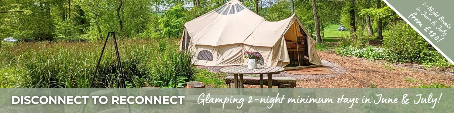 Birdsong Glamping Tent at Wytch Wood Camping is a beautiful 6m high-sided bell tent tucked away in its own little clearing. 2-night breaks from £210 in June and July.