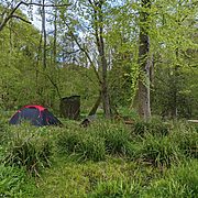 Pitch 3 - Oak Tree Island | Wytch Wood Camping & Glamping | Somerset