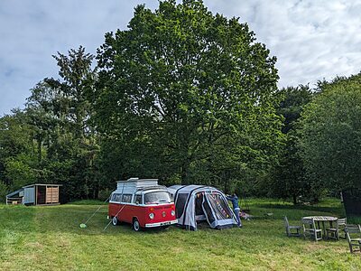 Pitch 11 - Dutch Oak Corner | Wytch Wood Camping and Glamping | Somerset