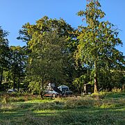 Pitch 4 - Hazel Hollow | Wytch Wood Camping & Glamping | Somerset