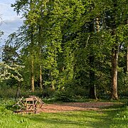 Pitch 4 - Hazel Hollow | Wytch Wood Camping & Glamping | Somerset