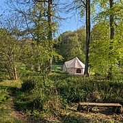 Pitch 4 - Hazel Hollow | Wytch Wood Camping & Glamping | Somerset