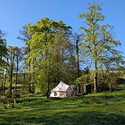 Pitch 4 - Hazel Hollow | Wytch Wood Camping & Glamping | Somerset