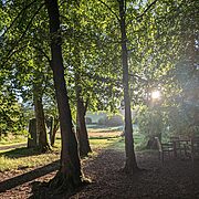 Pitch 6 - High Beeches | Wytch Wood Camping & Glamping | Somerset