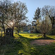 Pitch 8 - Twisted Hazel woodland camping pitch | Wytch Wood Camping & Glamping | Somerset