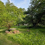 Pitch 8 - Twisted Hazel woodland camping pitch | Wytch Wood Camping & Glamping | Somerset
