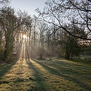 Pitch 8 - Twisted Hazel woodland camping pitch | Wytch Wood Camping & Glamping | Somerset