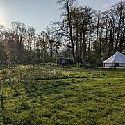 Pitches 5, 4, 12 | Wytch Wood Camping and Glamping | Somerset