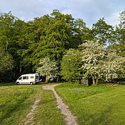 Pitches 5 and 6 | Wytch Wood Camping and Glamping | Somerset