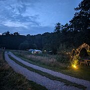 Track to Wytch Wood Woodland Camping site at night