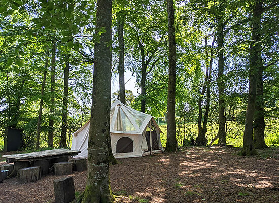 Bell tent hire | Wytch Wood Camping & Glamping