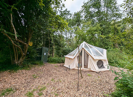 Bell tent hire | Wytch Wood Camping & Glamping
