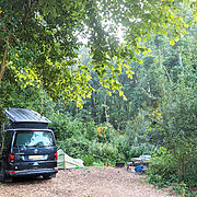Pitch 10 - Lyons | Wytch Wood Camping and Glamping | Somerset
