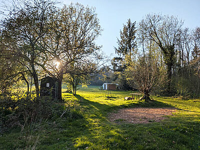 Pitch 8 - Twisted Hazel | Wytch Wood Camping & Glamping