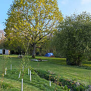 Pitch 10 - Lyons | Wytch Wood Camping and Glamping | Somerset