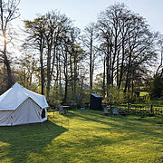 Pitch 12 - Orchard Bank | Wytch Wood Camping & Glamping | Somerset