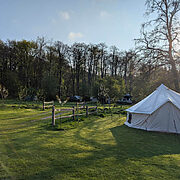 Pitch 12 - Orchard Bank | Wytch Wood Camping & Glamping | Somerset