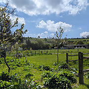 Pitch 12 - Orchard Bank | Wytch Wood Camping & Glamping | Somerset