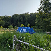 Pitch 12 - Orchard Bank | Wytch Wood Camping & Glamping | Somerset