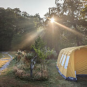 Pitch 12 - Orchard Bank | Wytch Wood Camping & Glamping | Somerset