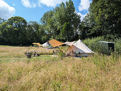 Pitch 13 – Pony Paddock | Wytch Wood Camping and Glamping | Somerset