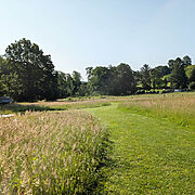 Pitch 14 – Forester’s Gate sunset | Wytch Wood Camping & Glamping | Somerset