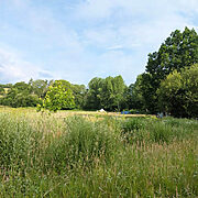 Pitch 14 – Forester’s Gate | Wytch Wood Camping & Glamping | Somerset