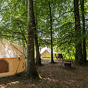 Pitch-6 High Beeches-Camping pitch | Wytch Wood Camping & Glamping