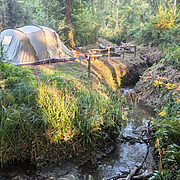 Pitch-9-Cascade | Wytch Wood Camping & Glamping