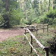 Pitch-9-Cascade | Wytch Wood Camping & Glamping