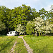Pitch-6 High Beeches-Camping pitch | Wytch Wood Camping & Glamping