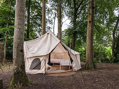 Pitch 1 - Skyview on Primrose Bridge | Wytch Wood Camping & Glamping | Somerset