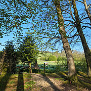 Pitch 1 - Skyview on Primrose Bridge | Wytch Wood Camping & Glamping | Somerset