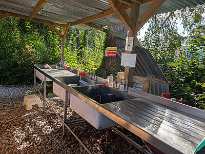 Wytch Wood Camping & Glamping Washing up area