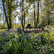 Pitch 16 – Hidden Dell | Wytch Wood Camping & Glamping | Somerset
