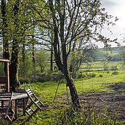 Pitch 5 - Spalted Beech | Wytch Wood Camping & Glamping | Somerset