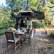 Tree Tops Woodland Rooftop Tent | Wytch Wood Camping & Glamping | Somerset