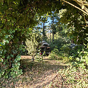 Tree Tops Woodland Rooftop Tent | Wytch Wood Camping & Glamping | Somerset