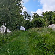 Pitch 7 - Toby's Double | Wytch Wood Camping & Glamping | Somerset