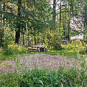 Pitch 7 - Toby's Double | Wytch Wood Camping & Glamping | Somerset
