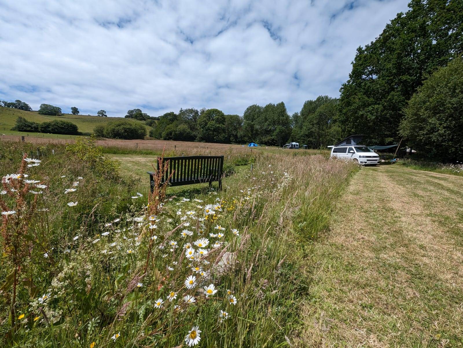 WYTCH WOOD CAMPING & GLAMPING AN AWARD-WINNING, SUSTAINABLE WOODLAND CAMPING AND GLAMPING RETREAT IN SOUTH SOMERSET.