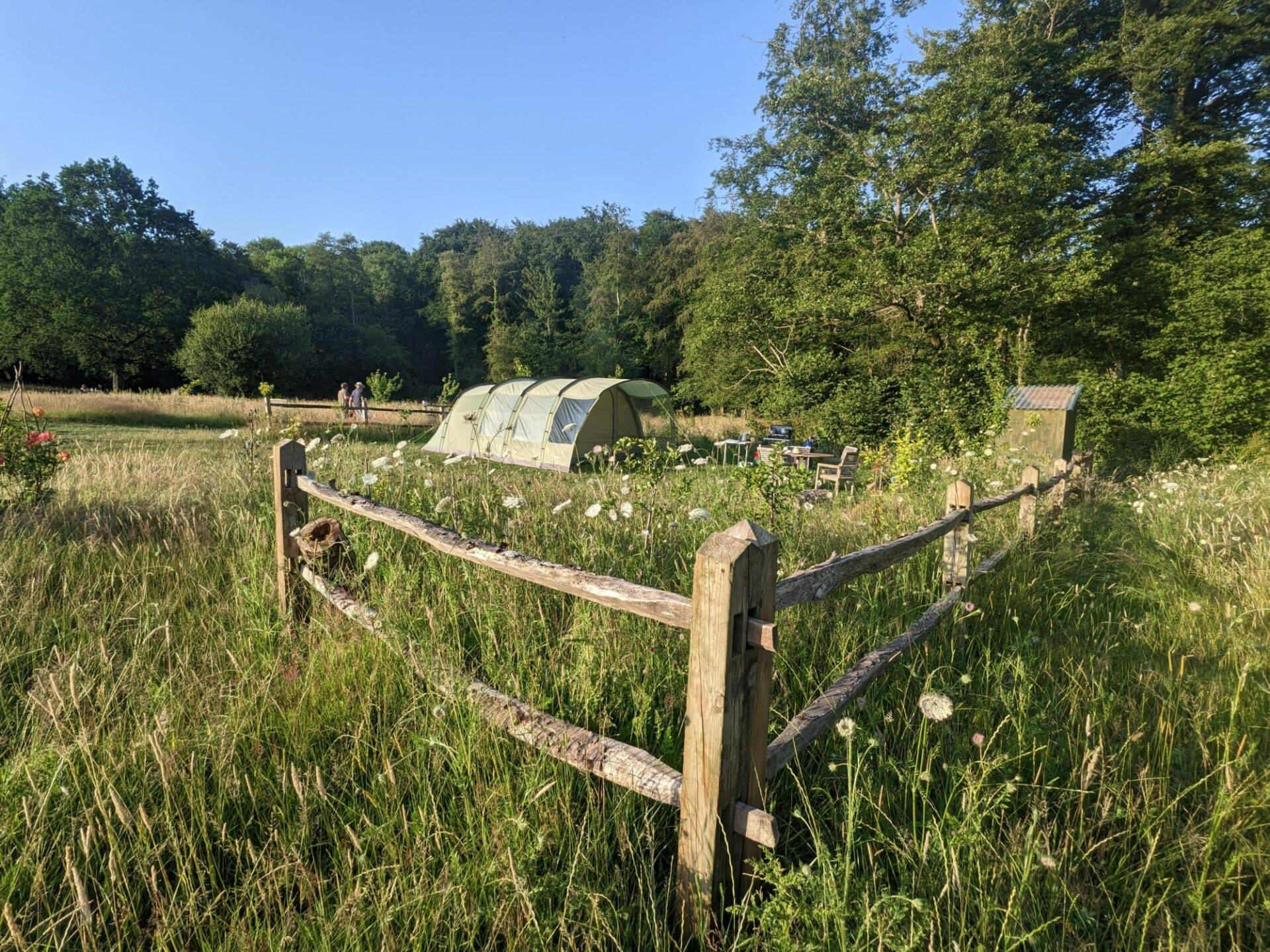 WYTCH WOOD CAMPING & GLAMPING AN AWARD-WINNING, SUSTAINABLE WOODLAND CAMPING AND GLAMPING RETREAT IN SOUTH SOMERSET.